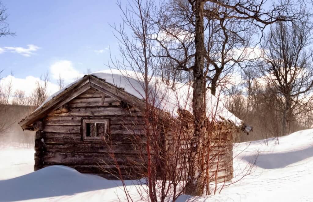 Here's How Much The Life Below Zero Cast Gets Paid