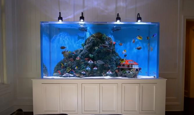 Here is how much the fish tanks on the TV show "Tanked" cost 6 Kurt Busch fish Tank on the tv show tanked