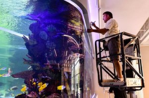 Here Is How Much The Fish Tanks On The TV Show "Tanked" Cost