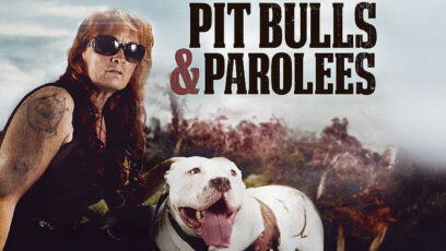 Villalobos Rescue Center: The Story Behind Pit Bulls & Parolees