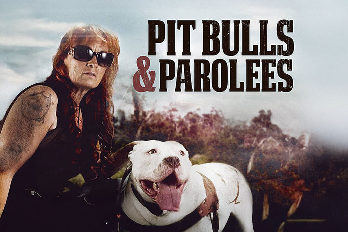 Pit Bulls and Parolees