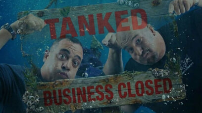 What Happened to Acrylic Tank Manufacturing? The Truth About the “Tanked” Business Today