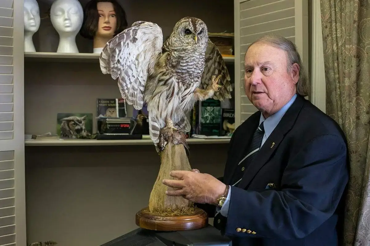 Owl Theory - Staircase Evidence