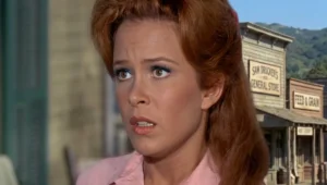 What Happened to Linda Kaye Henning from Petticoat Junction