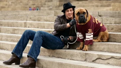 Sylvester Stallone Before Rocky: The Real Story of His Homeless Years and the Script He Refused to Sell