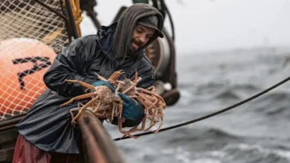 Todd Meadows: How Deadliest Catch Season 22 Said Goodbye to Its Youngest Deckhand