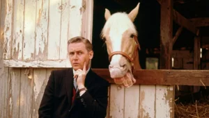 Allan Lane, the Voice Behind Mister Ed Nobody Was Allowed to Credit