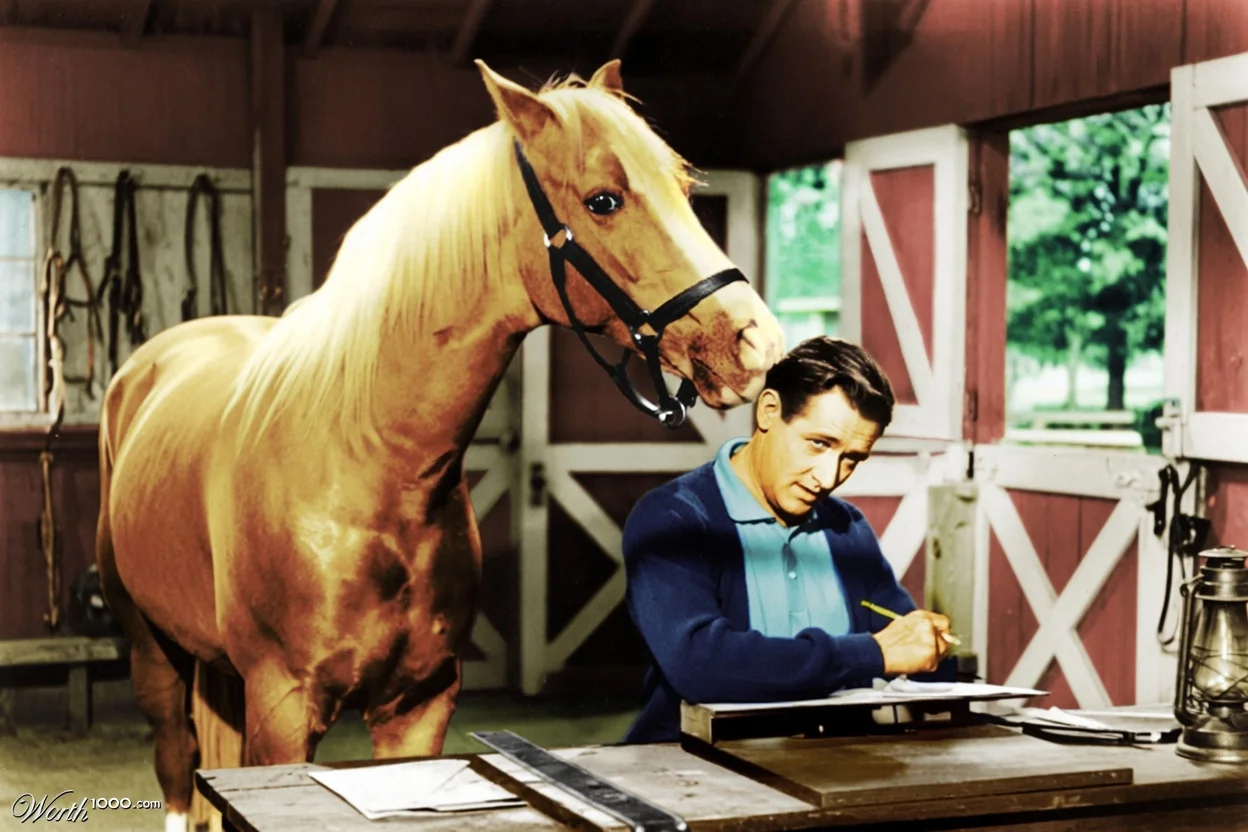 Mister Ed, the talking horse