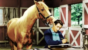 The Real Story Behind Mister Ed, TV’s Talking Horse