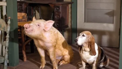 Arnold Ziffel, the Pig Who Was a Star on Green Acres