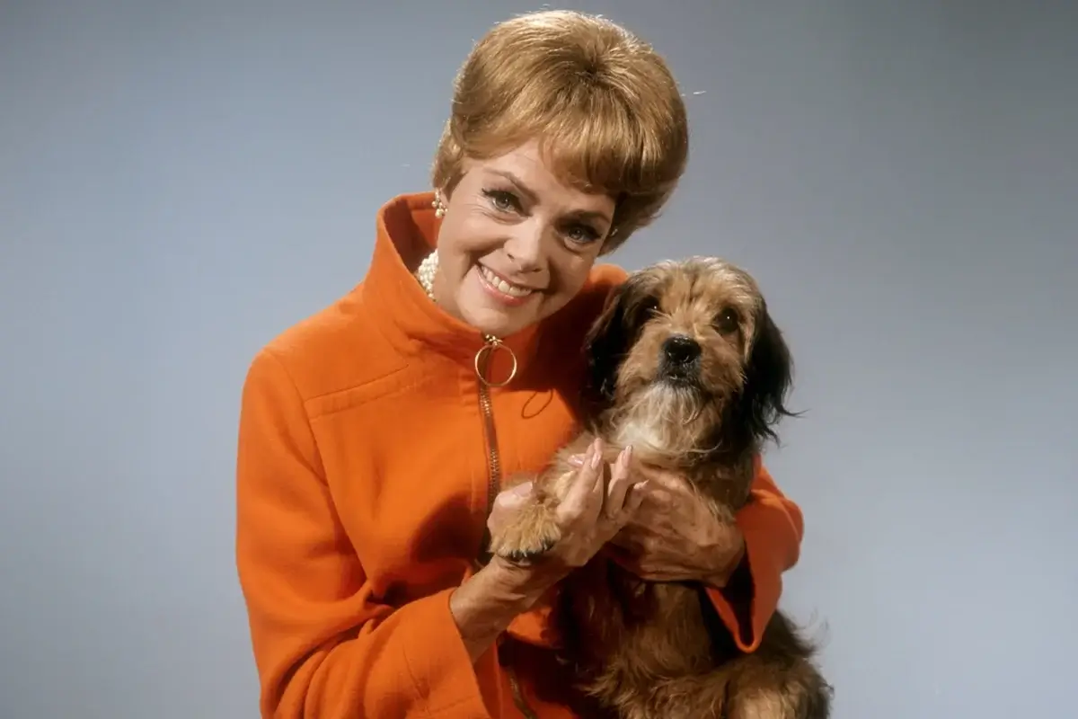 Higgins, the Petticoat Junction Dog